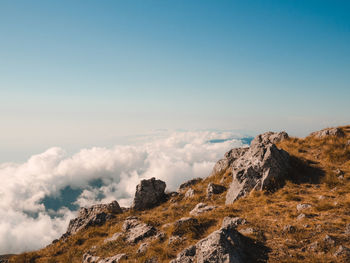 Panoramic view of landscape against clear sky