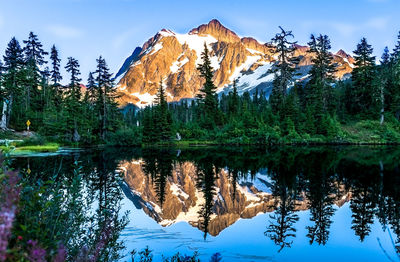 Reflection of trees in lake against sky