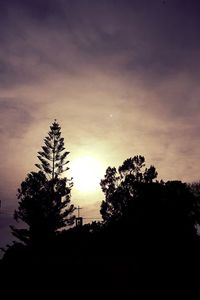 Silhouette trees against sky at sunset