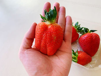 Cropped image of hand holding strawberries