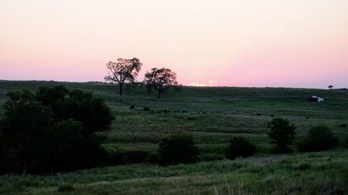 Scenic view of landscape against clear sky