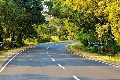 Road amidst trees