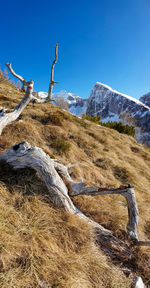 Winter landscape in the dolomites