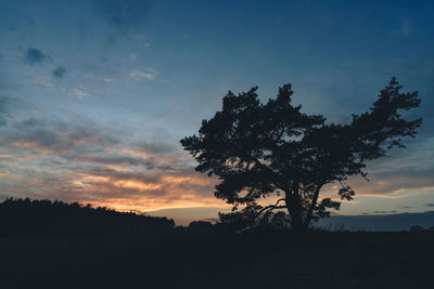 Silhouette tree against sky during sunset