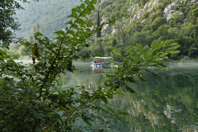 The cetina river near omiš, croatia