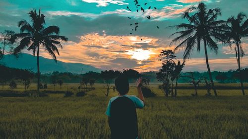 Rear view of person standing on field against sky during sunset