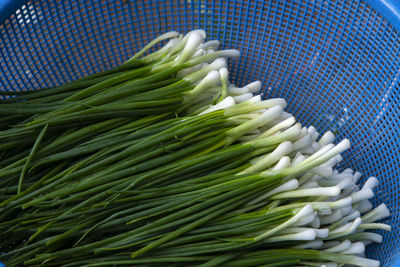 High angle view of vegetables for sale in market