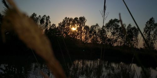 Silhouette trees by lake against sky during sunset