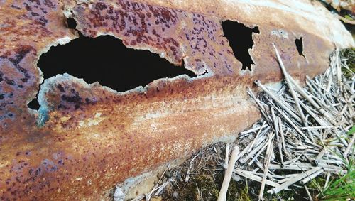 Full frame shot of rusty metal