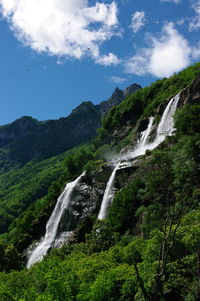 Scenic view of waterfall in forest