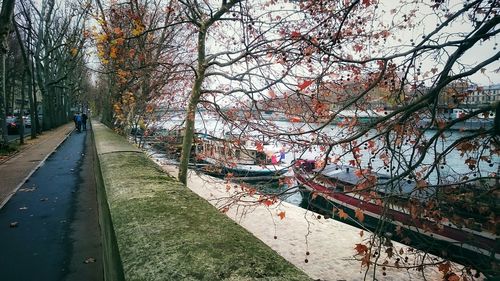 View of bare trees by river