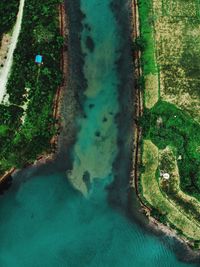 High angle view of stream on land