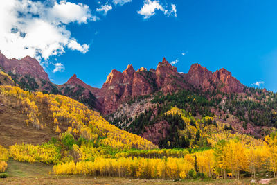 Scenic view of landscape against sky during autumn