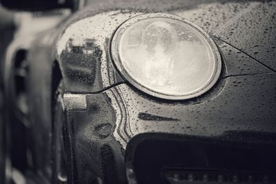 Close-up of vintage car