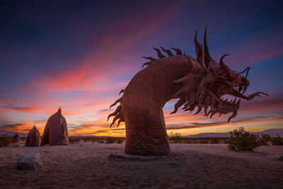 Lizard on sand against sky during sunset