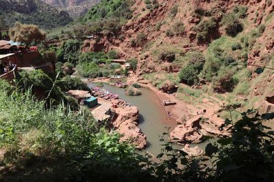 High angle view of river amidst trees