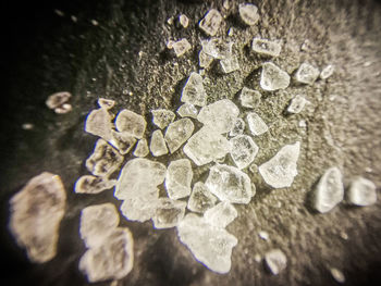 High angle view of ice cream on wet floor