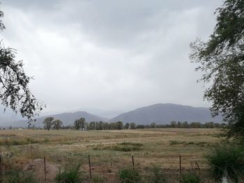 Scenic view of field against sky