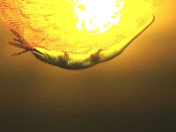 High angle view of illuminated lamp against wall