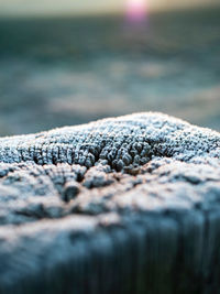 Close-up of water on beach