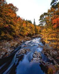 Stream flowing amidst trees during autumn