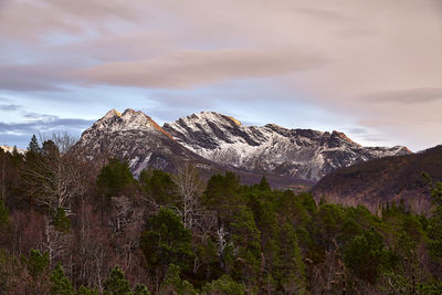 Scenic view of snowcapped mountains against sky