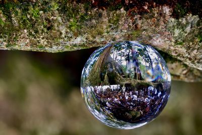 Close-up of crystal ball on glass