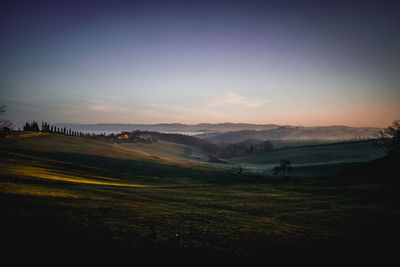 Scenic view of field against sky