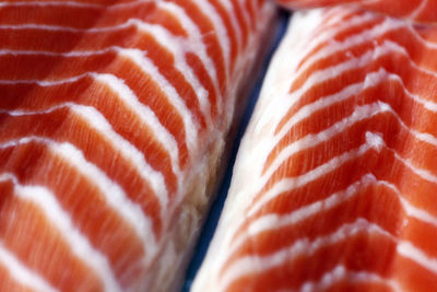 Full frame shot of salmon