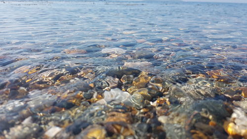 Surface level of stones in sea