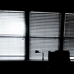 Silhouette people in dark room