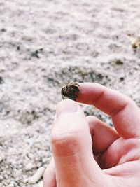 Close-up of hand holding small