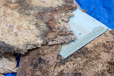 High angle view of wood on rock