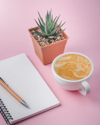 High angle view of succulent plant on table