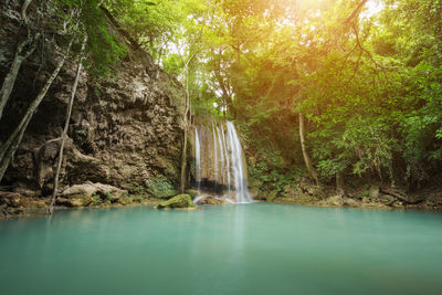 Scenic view of waterfall in forest