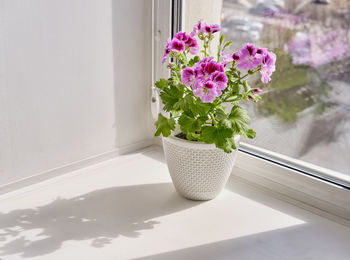 Close-up of flower vase on table against window