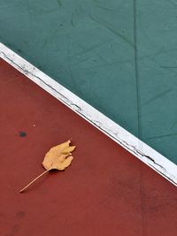 High angle view of dry leaves on a sports ground