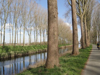 Road by canal against sky