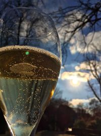 Close-up of wine glass against bare trees