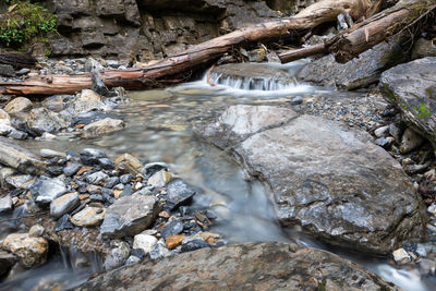 Scenic view of waterfall in forest