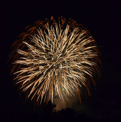 Low angle view of firework display against sky at night