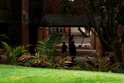 People on grass against trees