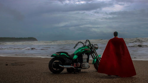 Rear view of man on beach against sky