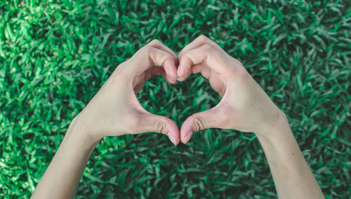 Directly above shot of hand holding heart shaped grass