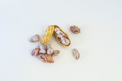 High angle view of food on white background