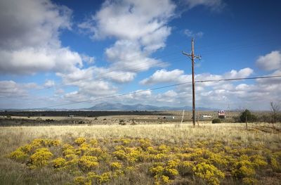 Scenic view of landscape against clear sky