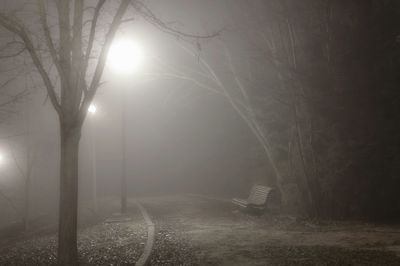 Road in foggy weather