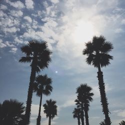 Low angle view of silhouette trees against sky