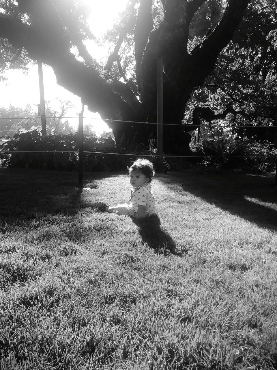 plant, one person, childhood, nature, grass, tree, sunlight, child, land, real people, day, field, females, leisure activity, women, girls, growth, lifestyles, full length, outdoors, innocence