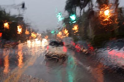 Reflection of trees in water